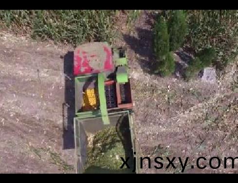 視頻(pin)展(zhan)示