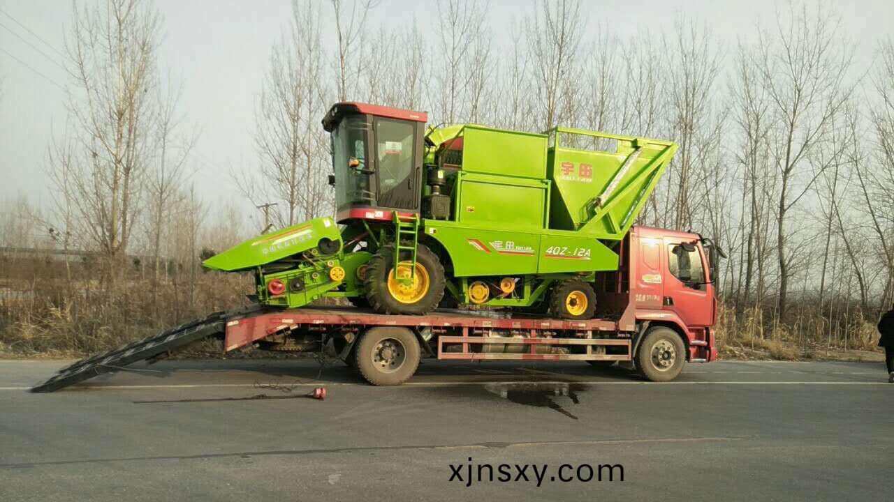 新(xin)年車，髮徃邯鄲，好的開始，加油宇田(tian)(^ω^)