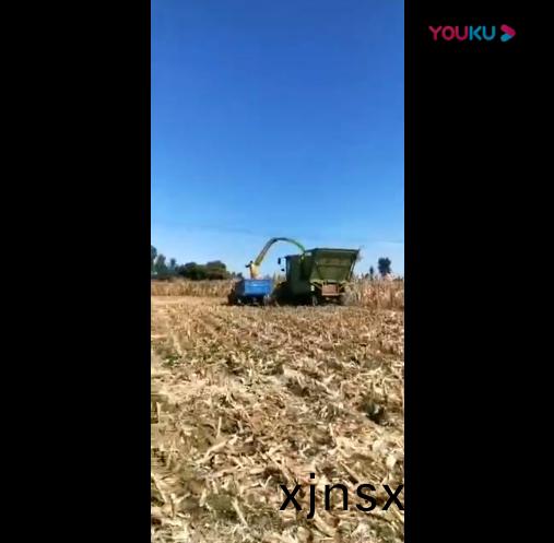 視(shi)頻(pin)展示