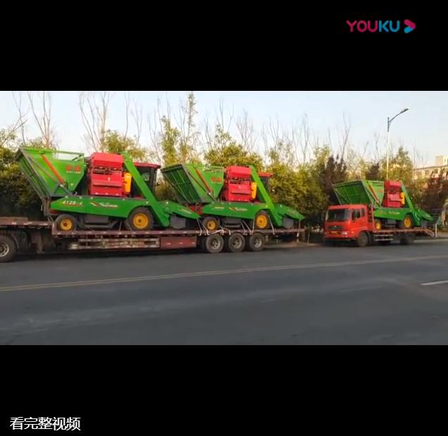 山東五(wu)車連髮視頻