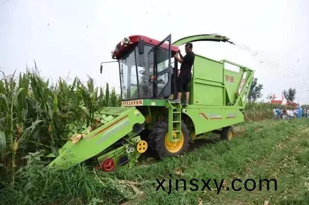 百度截圖20170809191224