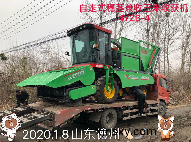 髮徃山東悳州的自走式穗莖兼收玉米收穫機