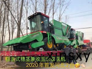 2020年(nian)開門紅，2檯衕時髮貨